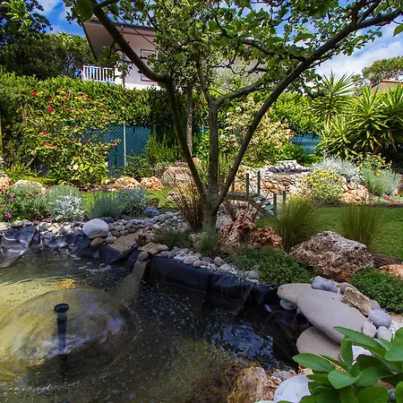 فندق Tarabella فورتي دي مارمي