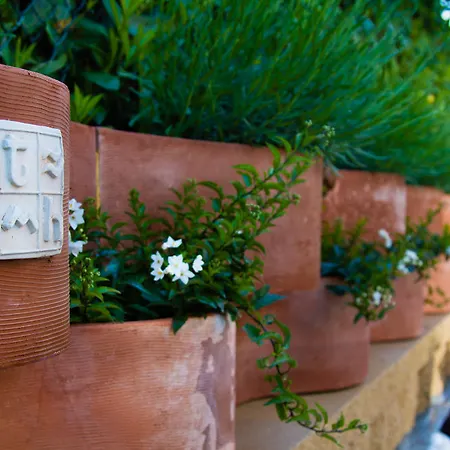 فندق Tarabella 3*